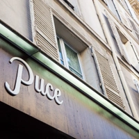 Puce