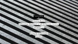CONCRETE: DASHA RUSH, SEBASTIAN MULLAERT & ULF ERIKSSON, SHLØMO / RICHARD ZEPEZAUER, SANDRO