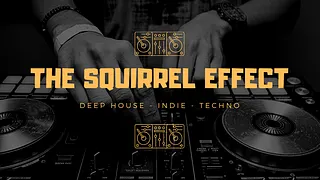 THE SQUIRREL EFFECT ◈ DJ SET