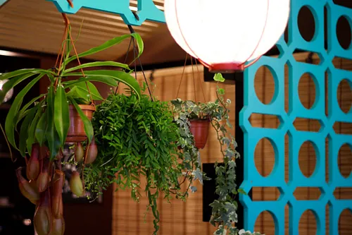Cho Cantine Restaurant Paris