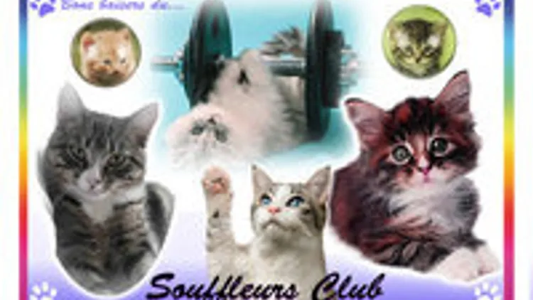 Les Souffleurs Club!