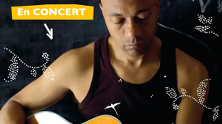 ROBIN (Réunion) live