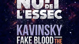 NUIT DE L'ESSEC 2013 presents Kavinsky - Fake Blood - The Supermen Lovers - Jupiter - Baadman