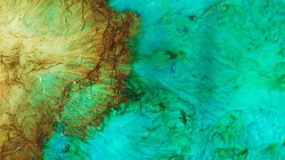 Environmental Gaze | Giselle Hobbs
