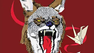 Hiatus kaiyote