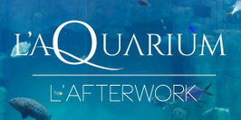 Opening exclusif - Afterwork à l'aquarium