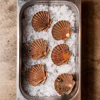 Iodé Sushi
