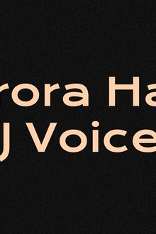 Club : Aurora Halal, DJ Voices