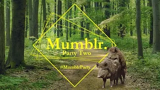 #MumblrParty Two