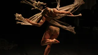 PERFORMANCES : SORTIE DE RESIDENCE COMPANY STEFANIE BATTEN BLAND