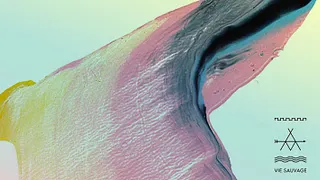 VIE SAUVAGE | LA GRANDE TRAVERSÉE 2015