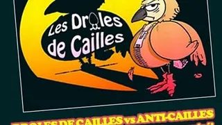 Match d'Impro - Les Drôles de Cailles - 26 Janvier 2016