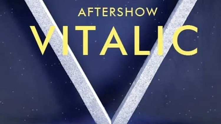 Vitalic Aftershow