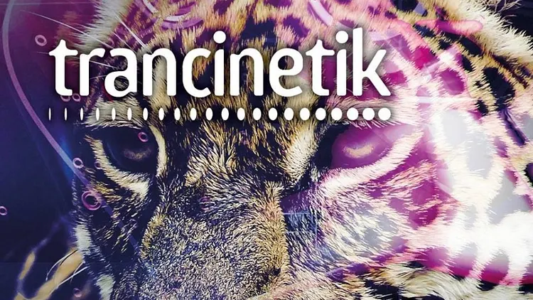 TRANCINETIK