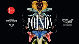 Poison