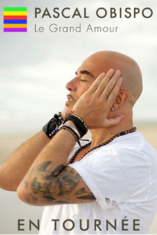 Pascal Obispo en concerts