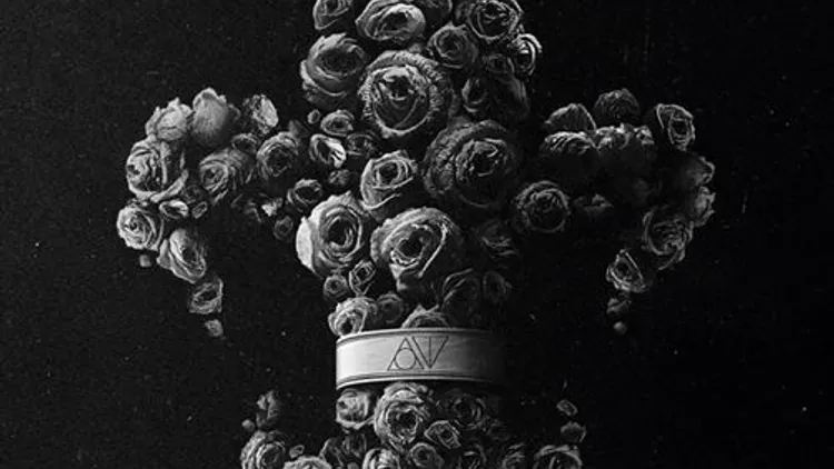 Our Theory + Hot School + Houston + Lie To Meet You