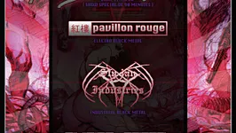 Perturbator en concert