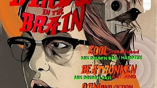 Birds in the Brain