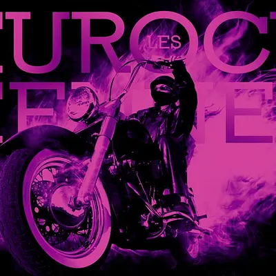 Les Eurockéennes 2015 : 20 nouveaux artistes dévoilés !