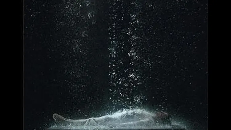 Expo Bill Viola