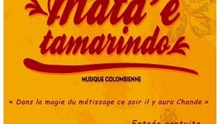 concert Mata'e Tamarindo