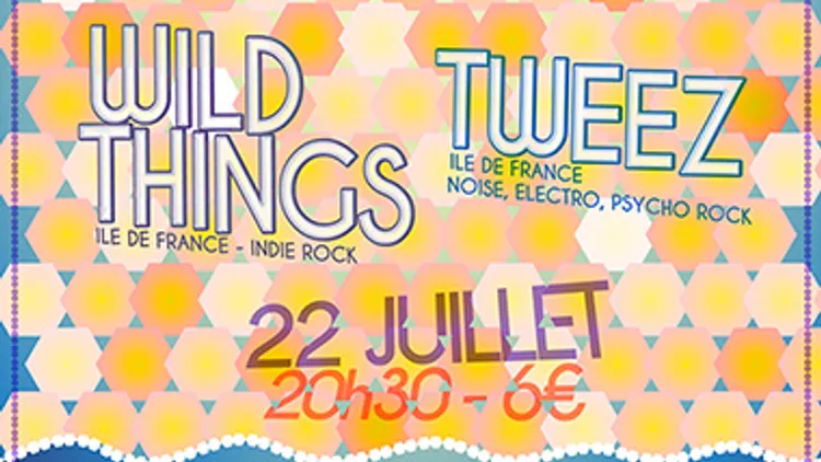Last Train + Wild Things + Tweez