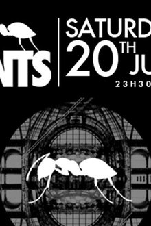 Ants Party - Cinema Paradiso / Superclub