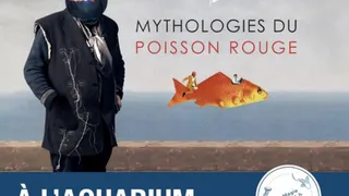 Mythologies du poisson rouge
