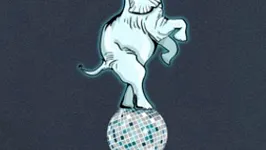 Disco sur Le Nil