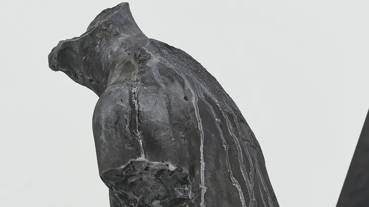 Visite guidée de l'exposition-résidence de Hugo Servanin : « Morphose »