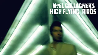 Noel Gallagher's high flying birds