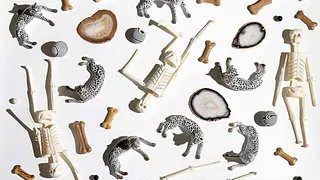 Théo Mercier : Every stone should cry