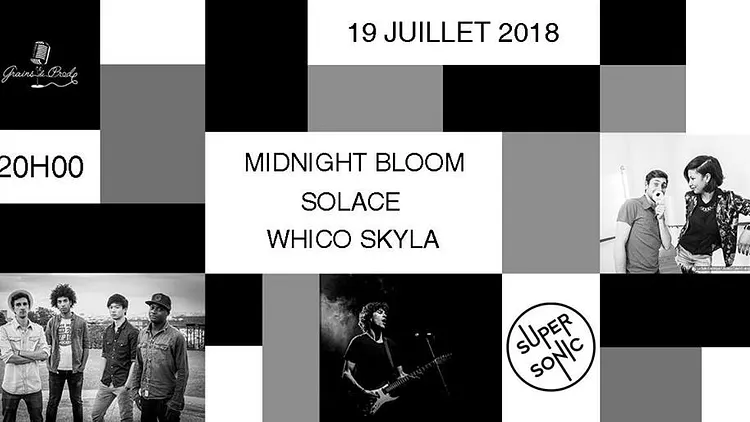 Midnight Bloom - Solace - Whico Skyla