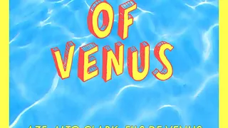 SUMMER OF VENUS