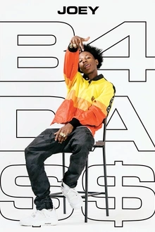 Joey Badass en concert