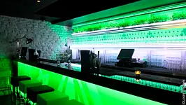 devenez un pro du mojito