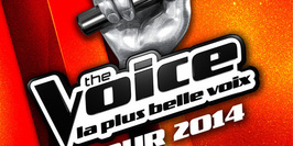 The Voice Tour 2014