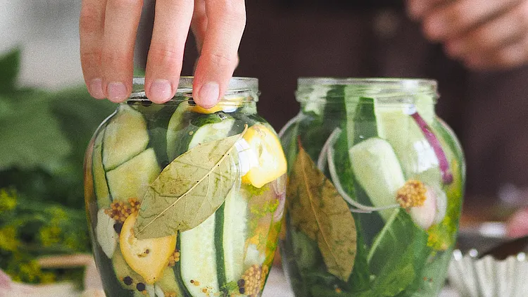 Initiation à la lactofermentation