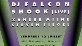 Vulture avec Shook Live, Dj Falcon, Alan Braxe