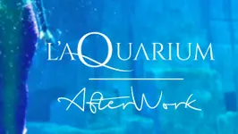 AFTERWORK DANS (TOUT!) L'AQUARIUM DE PARIS