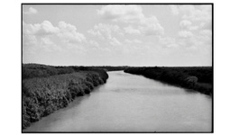 Zoe Leonard - Al río / To the River