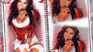 ASIAN CHRISTMAS - HOUSE PERFUSION MCLOVE