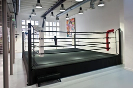 Sweat Boxing