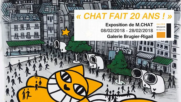 Chat fait 20 ans