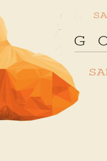 GOLDFISH Live, SANDER KLEINENBERG & DIMMI