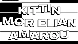 Dehors Brut Indoor: Kittin, Mor Elian, Amarou