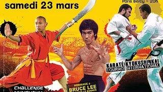 28e Festival des Arts Martiaux
