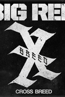 Big Red en concert