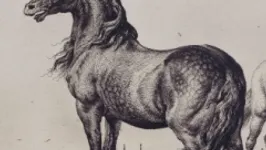 Vivre avec les animaux du XVIIe siècle